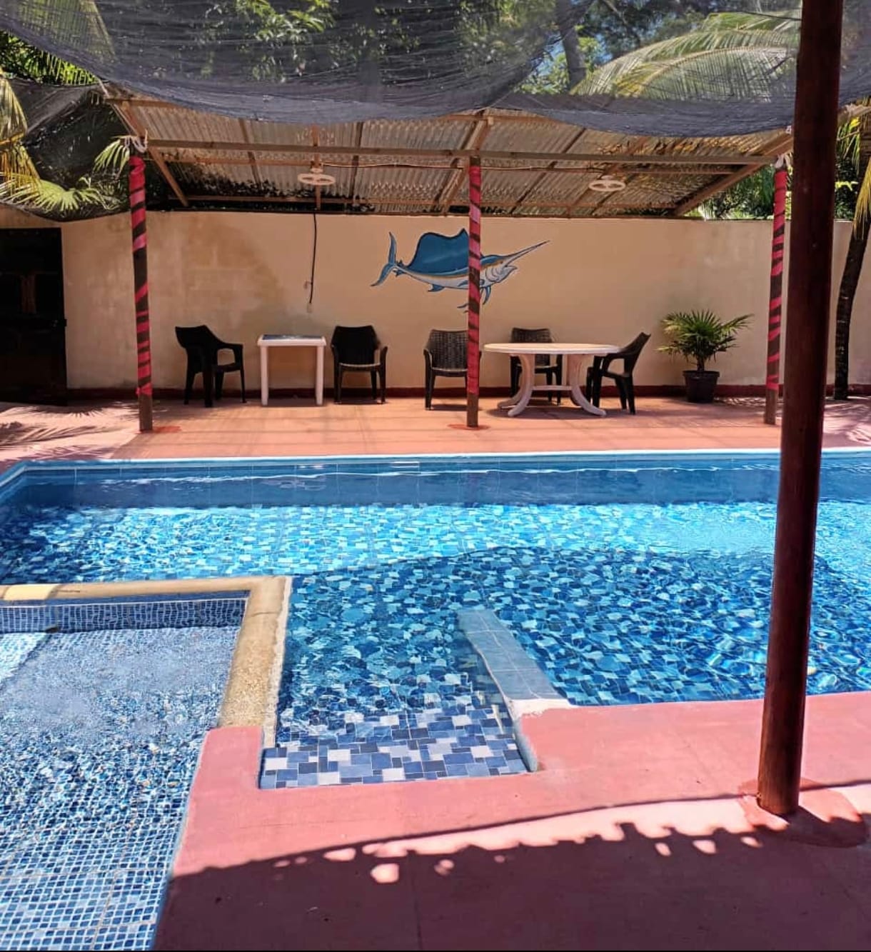 Punta blanca