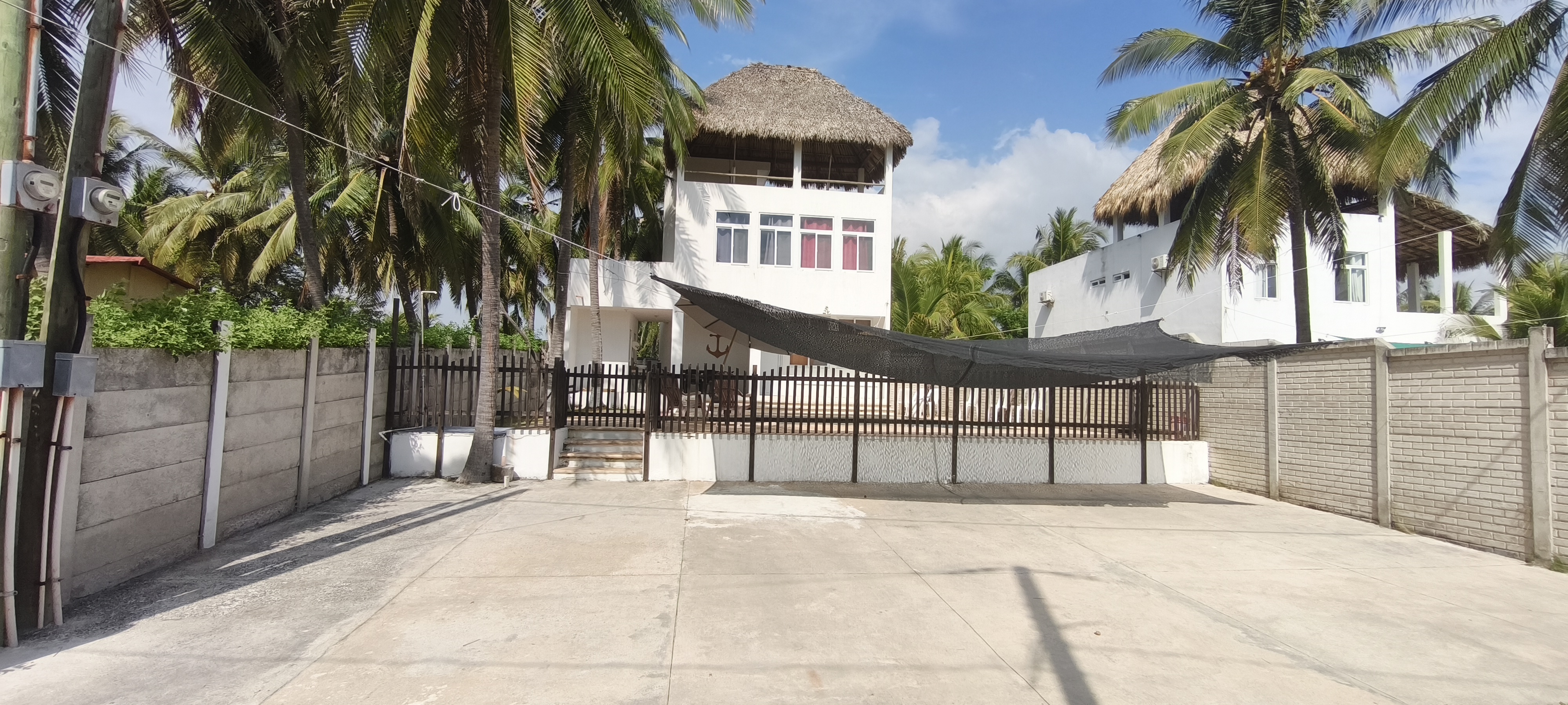Palmas 1